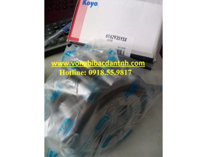 BẠC ĐẠN 6162935 YSX KOYO